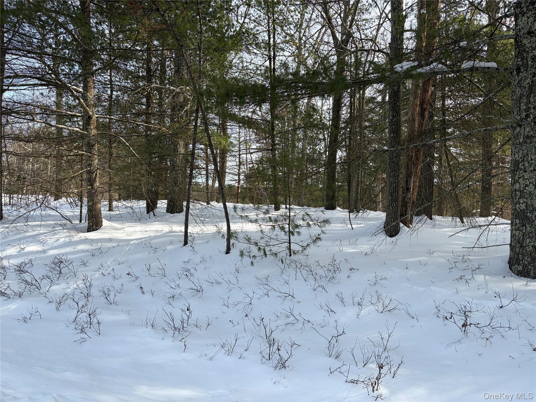 #2 photo, Lot 1 Willow Lane, Glen Spey , NY 12737