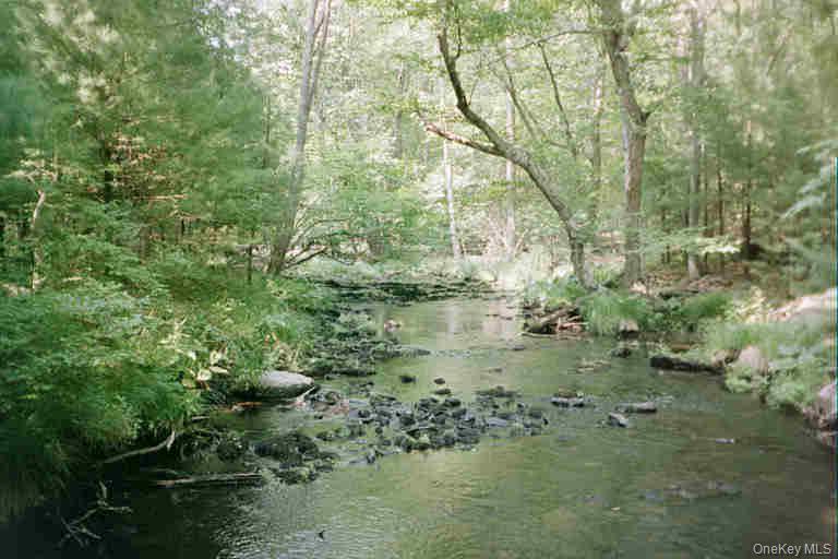 #1 photo, Lot 59.2 Lower Lumber Road, Glen Spey , NY 12737