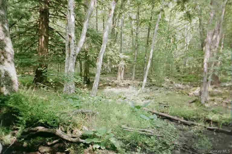 #2 photo, Lot 59.2 Lower Lumber Road, Glen Spey , NY 12737