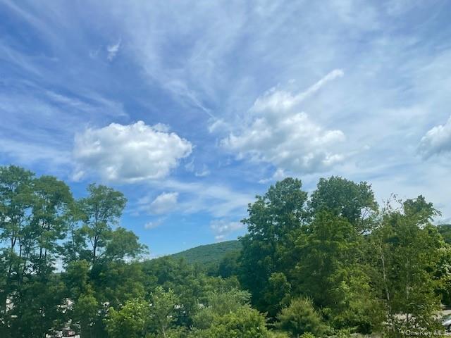 #17 photo, 14 Talmadge Court, Monroe , NY 10950