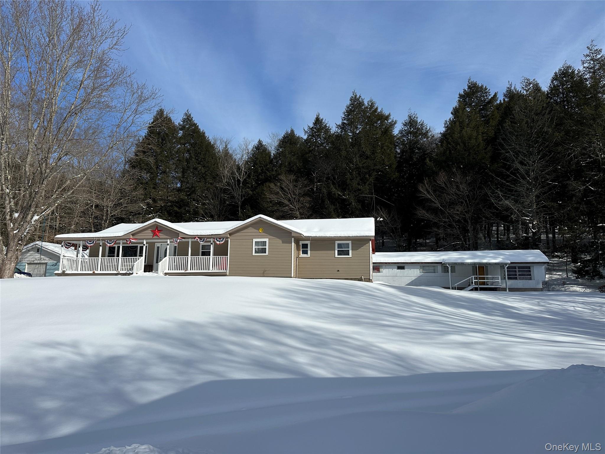 #1 photo, 16 John Gray Road, Livingston Manor , NY 12758