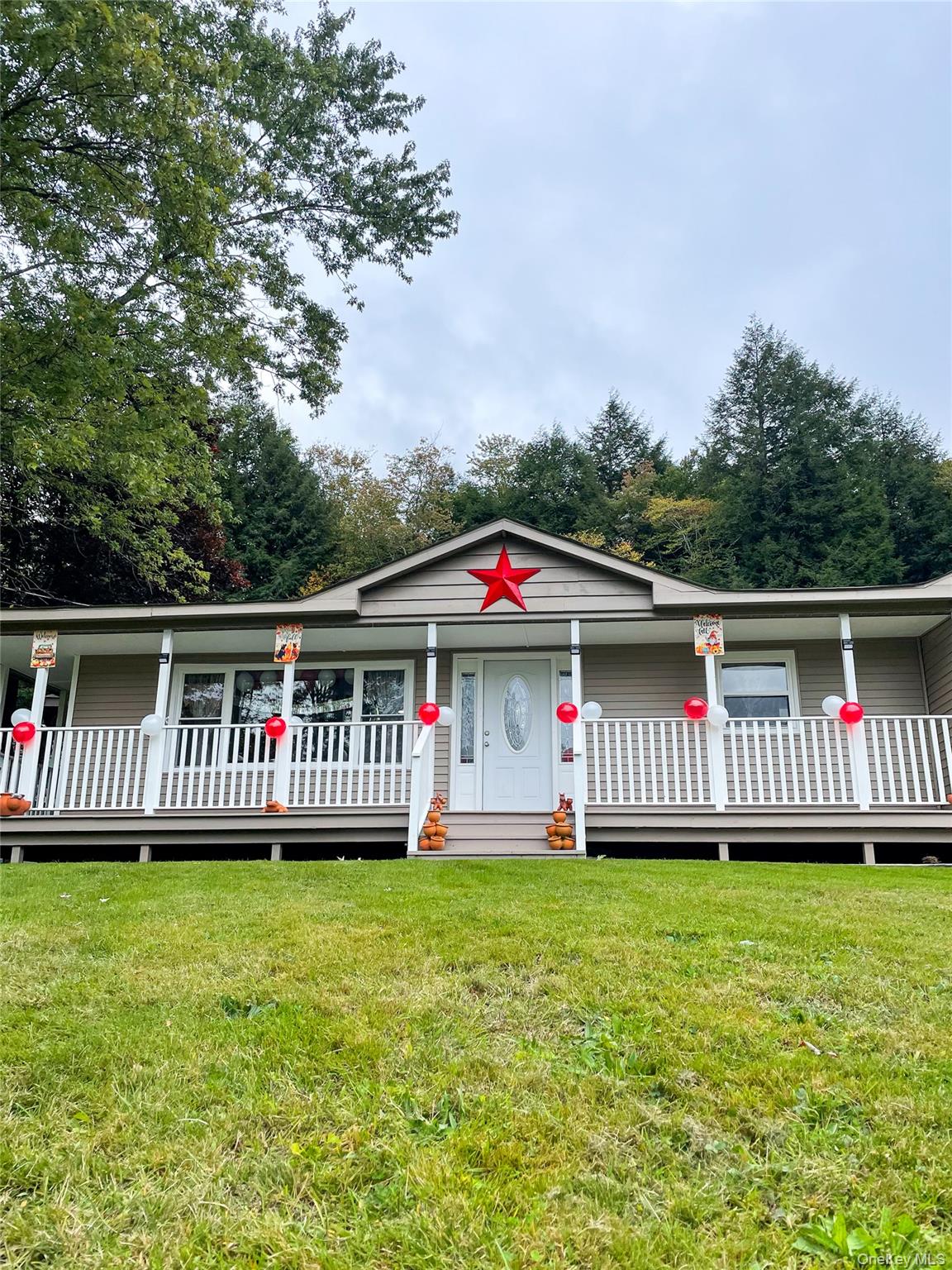 #2 photo, 16 John Gray Road, Livingston Manor , NY 12758