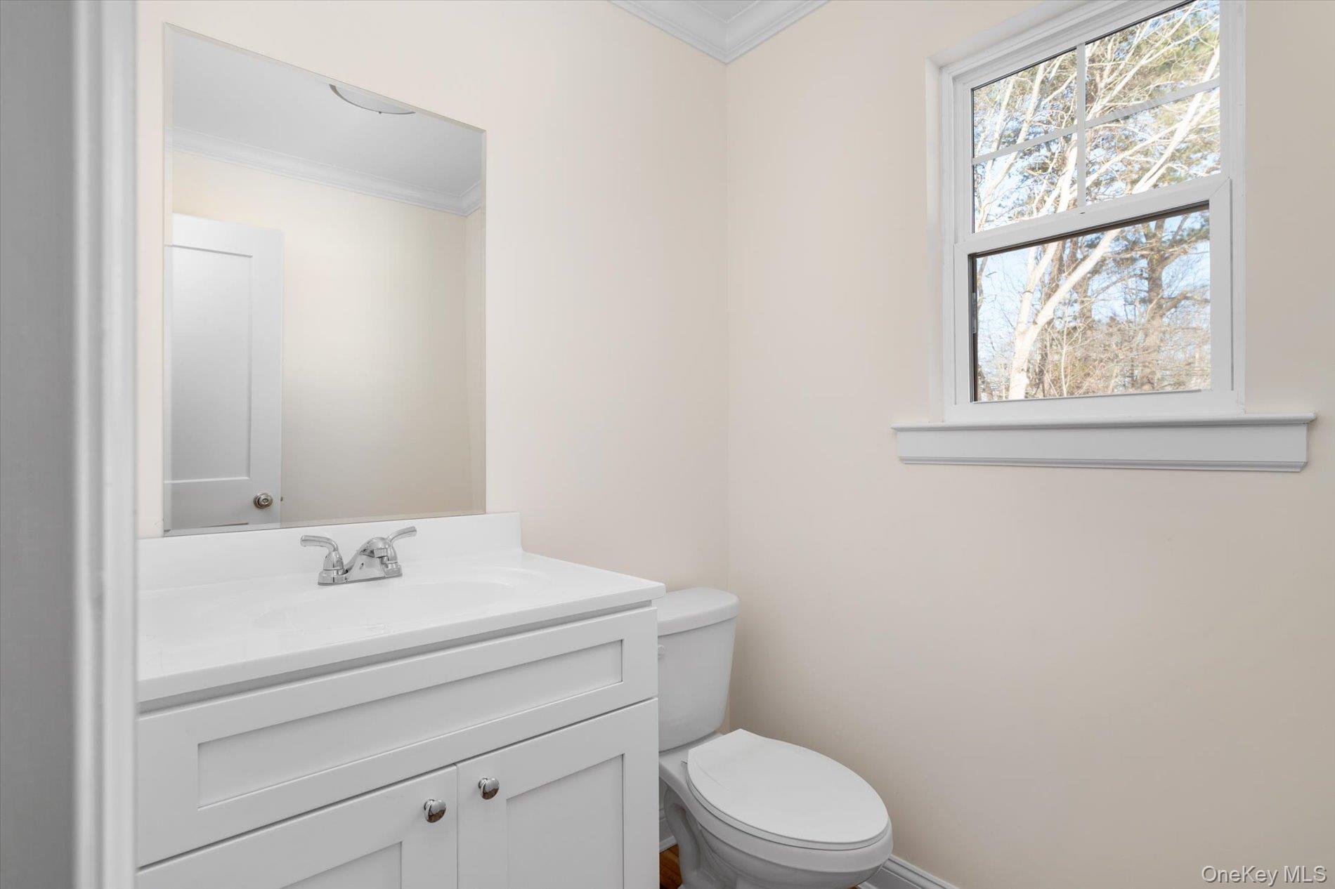 #10 photo, 43 Shirley Lane, Medford , NY 11763