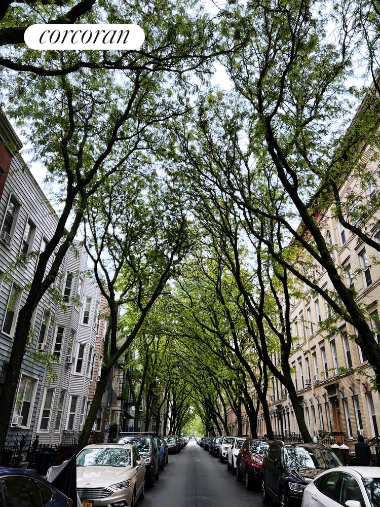 #11 photo, Brooklyn, Greenpoint , NY 11222