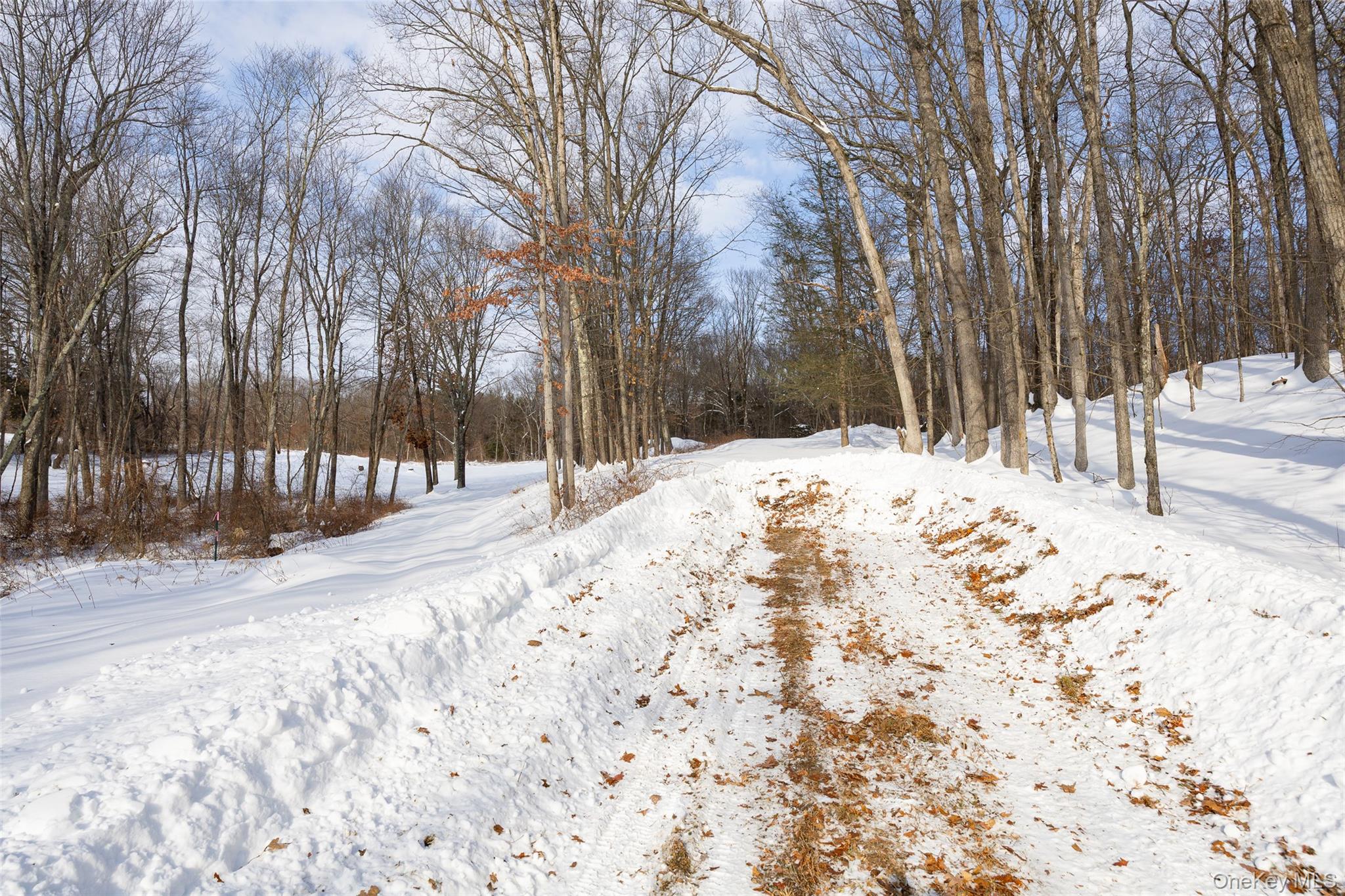 #11 photo, 207 Pleasant Vale, Tivoli , NY 12583