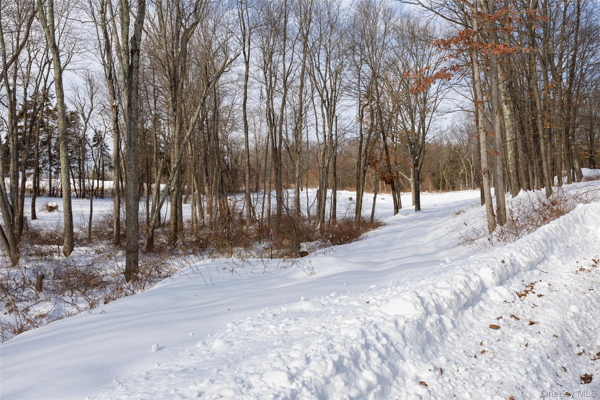 #13 photo, 207 Pleasant Vale, Tivoli , NY 12583