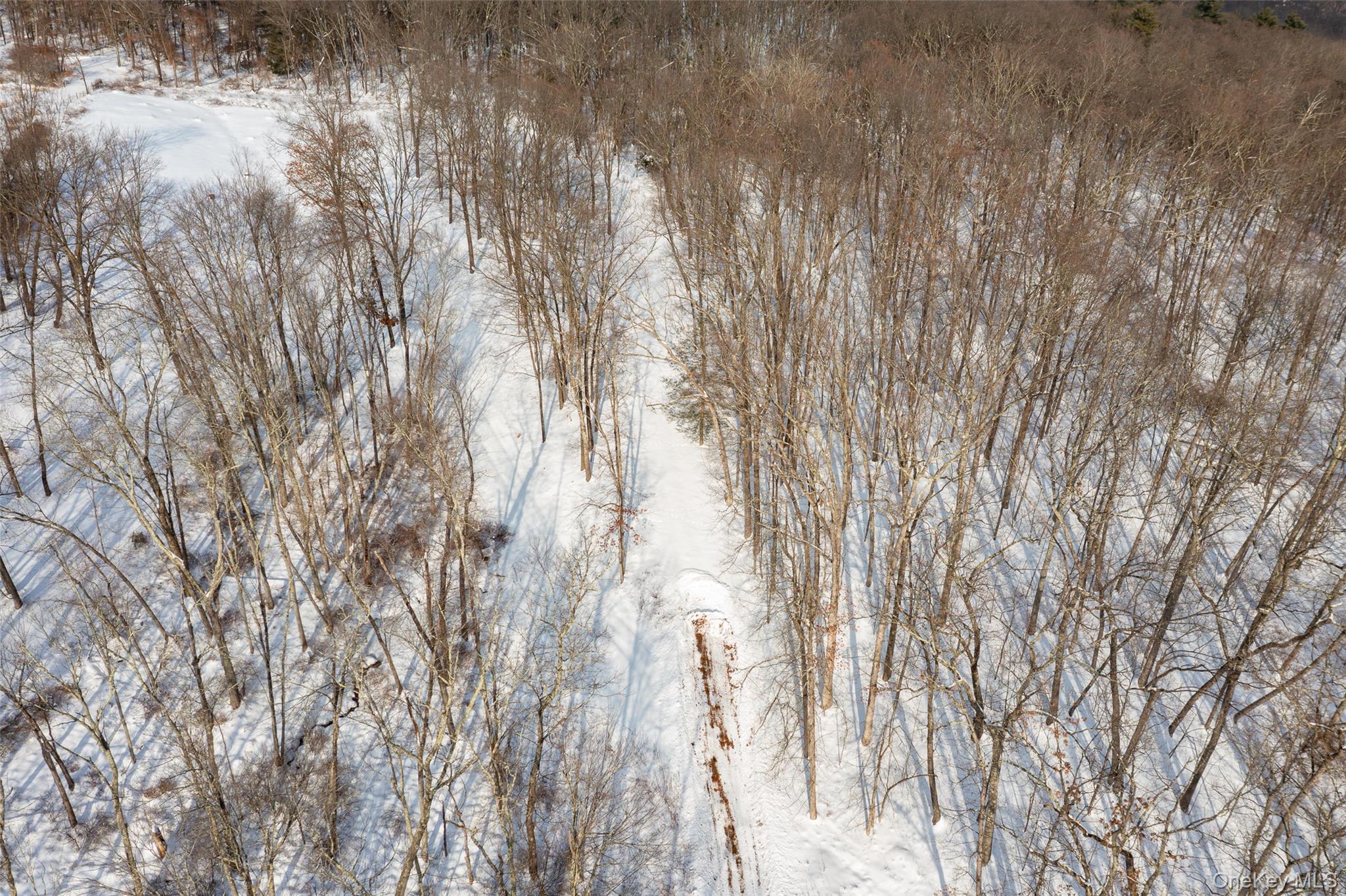 #3 photo, 207 Pleasant Vale, Tivoli , NY 12583