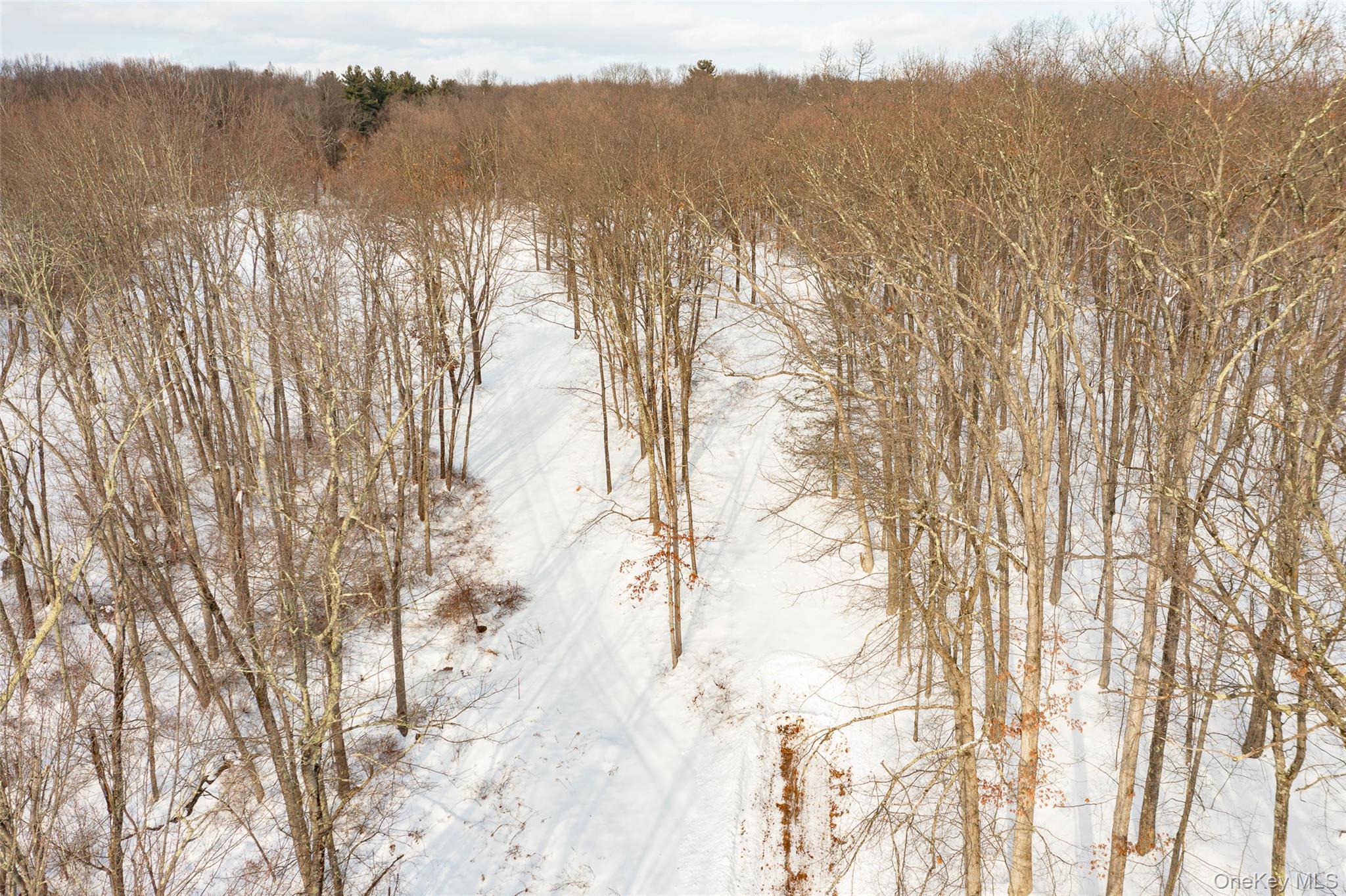 #8 photo, 207 Pleasant Vale, Tivoli , NY 12583