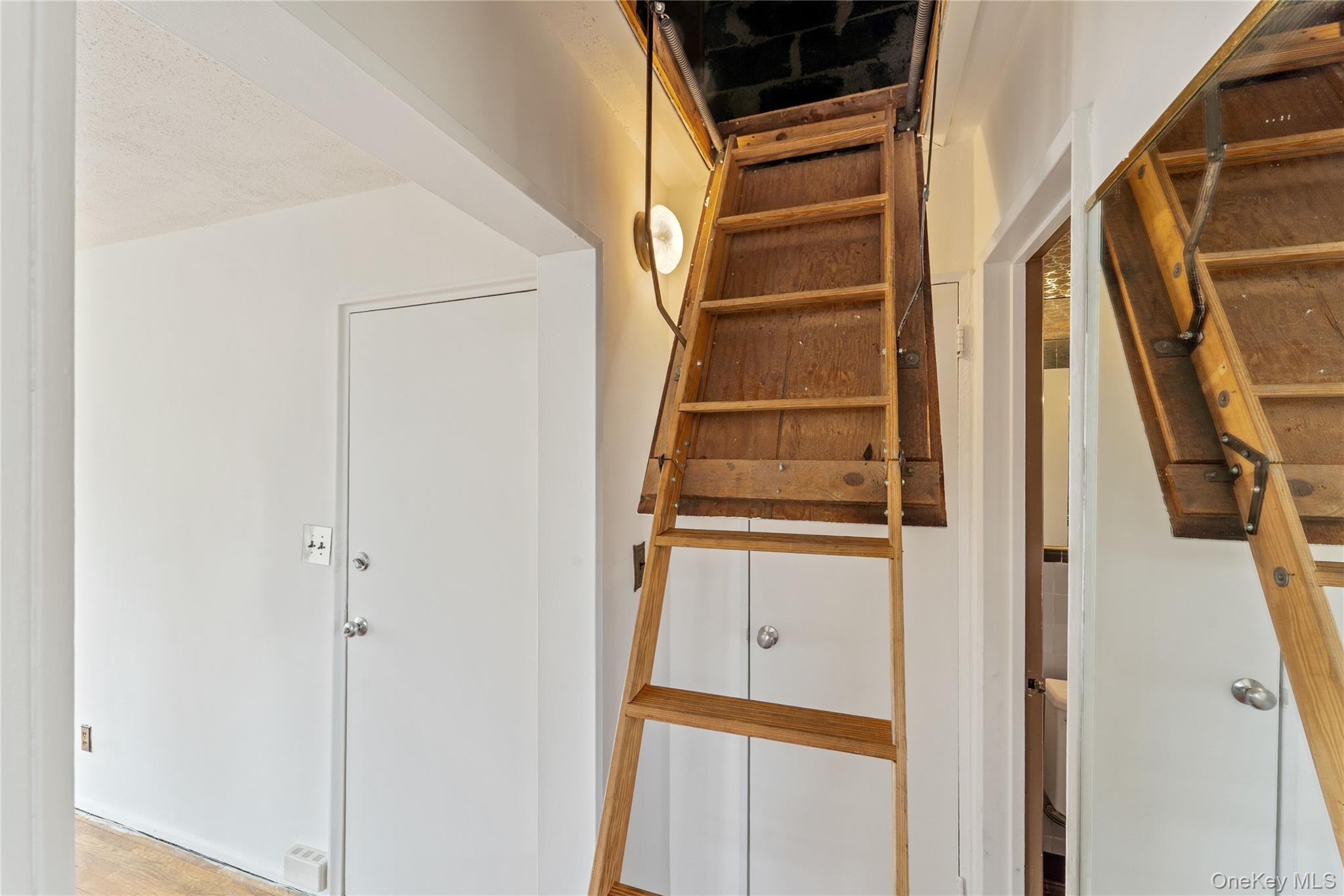 #12 photo, 249-36 63rd Avenue, Little Neck , NY 11362