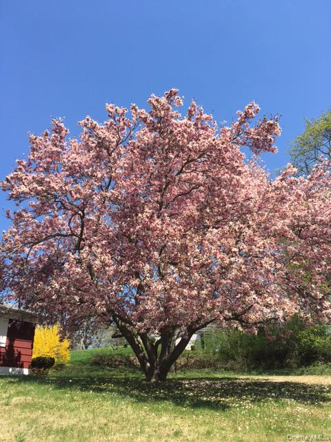 #2 photo, 220 Wilbur Boulevard, Poughkeepsie , NY 12603