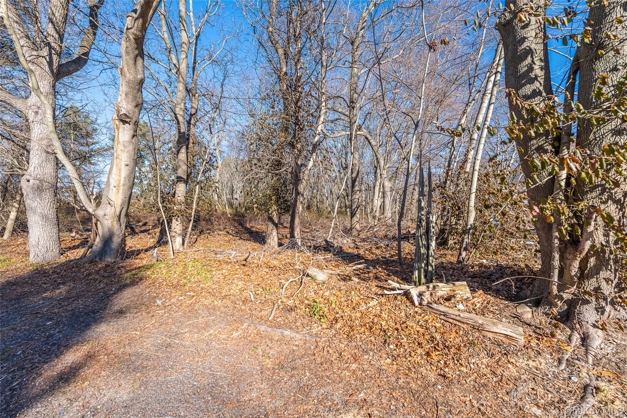 #10 photo, 132 Tuthills Lane, Jamesport , NY 11901