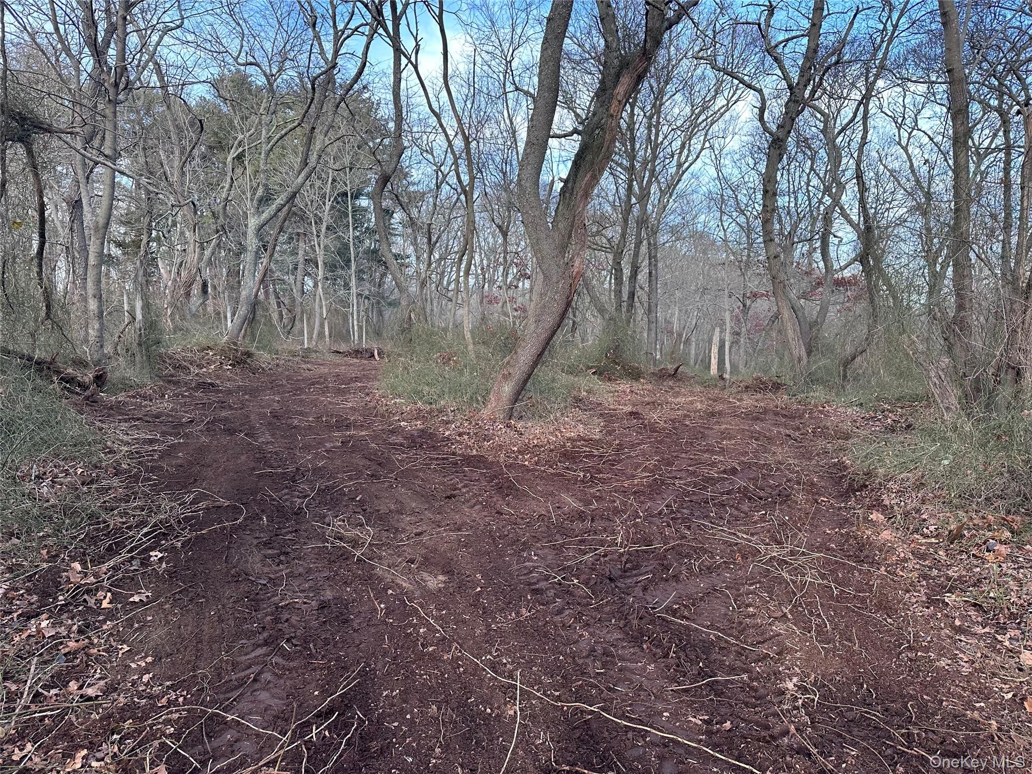 #11 photo, 132 Tuthills Lane, Jamesport , NY 11901