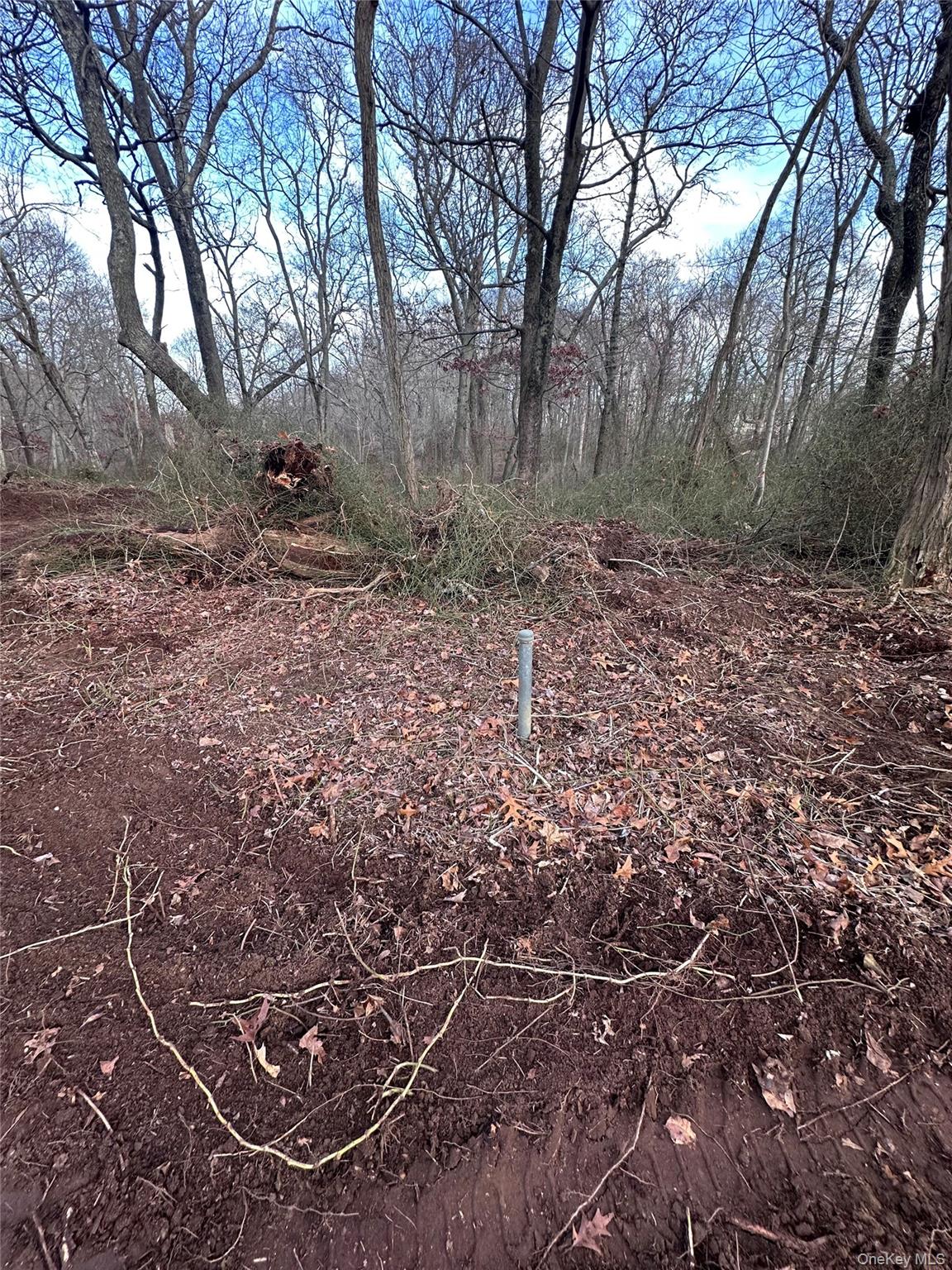 #13 photo, 132 Tuthills Lane, Jamesport , NY 11901