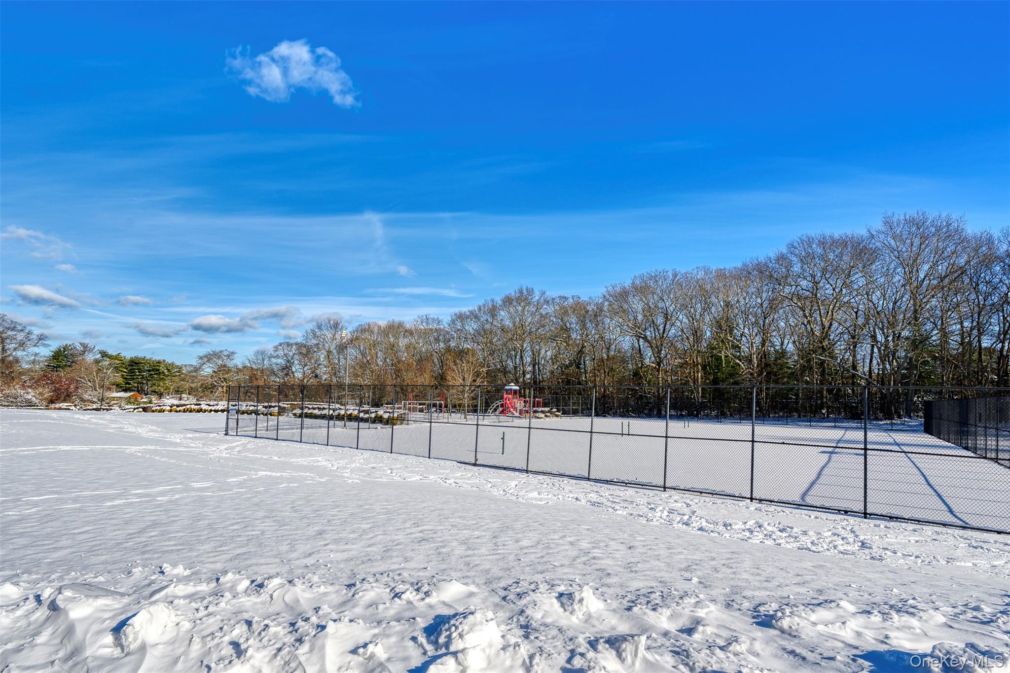 #11 photo, 96 Artist Lake Drive, Middle Island , NY 11953