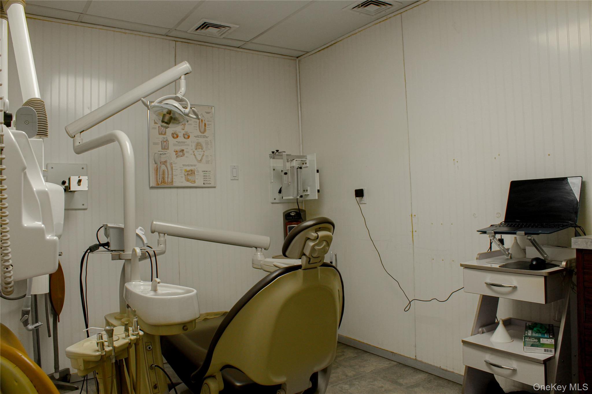 #11 photo, 551 Crescent Street, Brooklyn , NY 11208