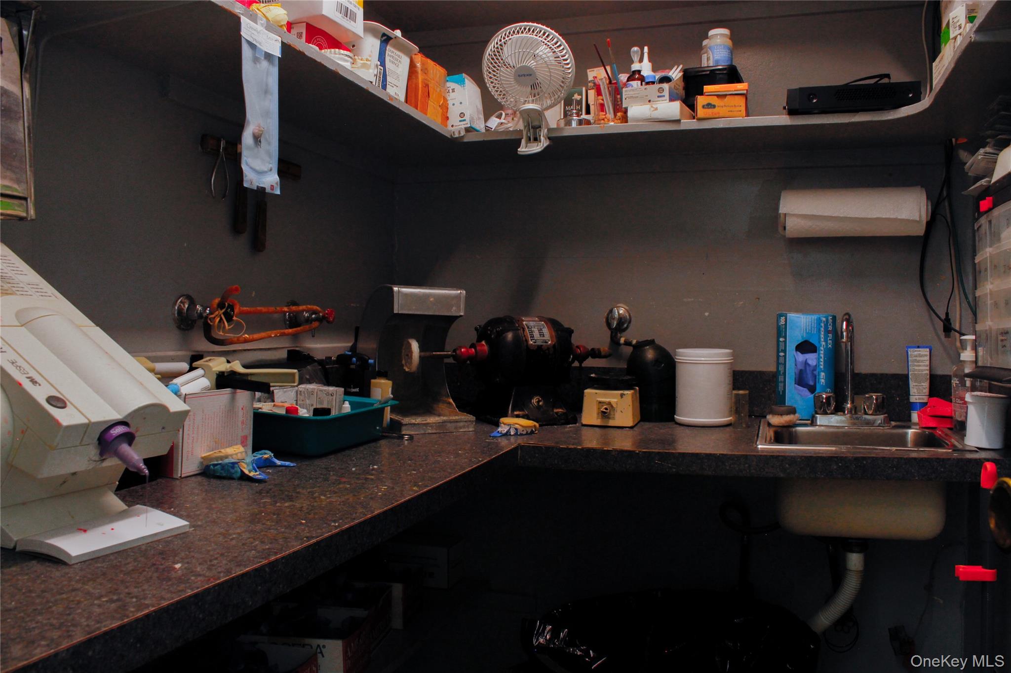 #12 photo, 551 Crescent Street, Brooklyn , NY 11208