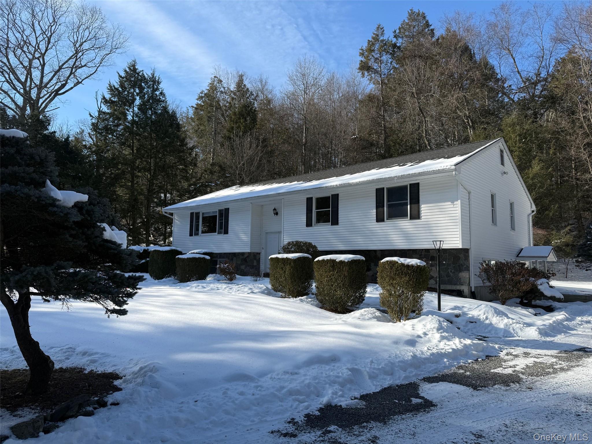 #3 photo, 3481 Route 22, Dover Plains , NY 12522