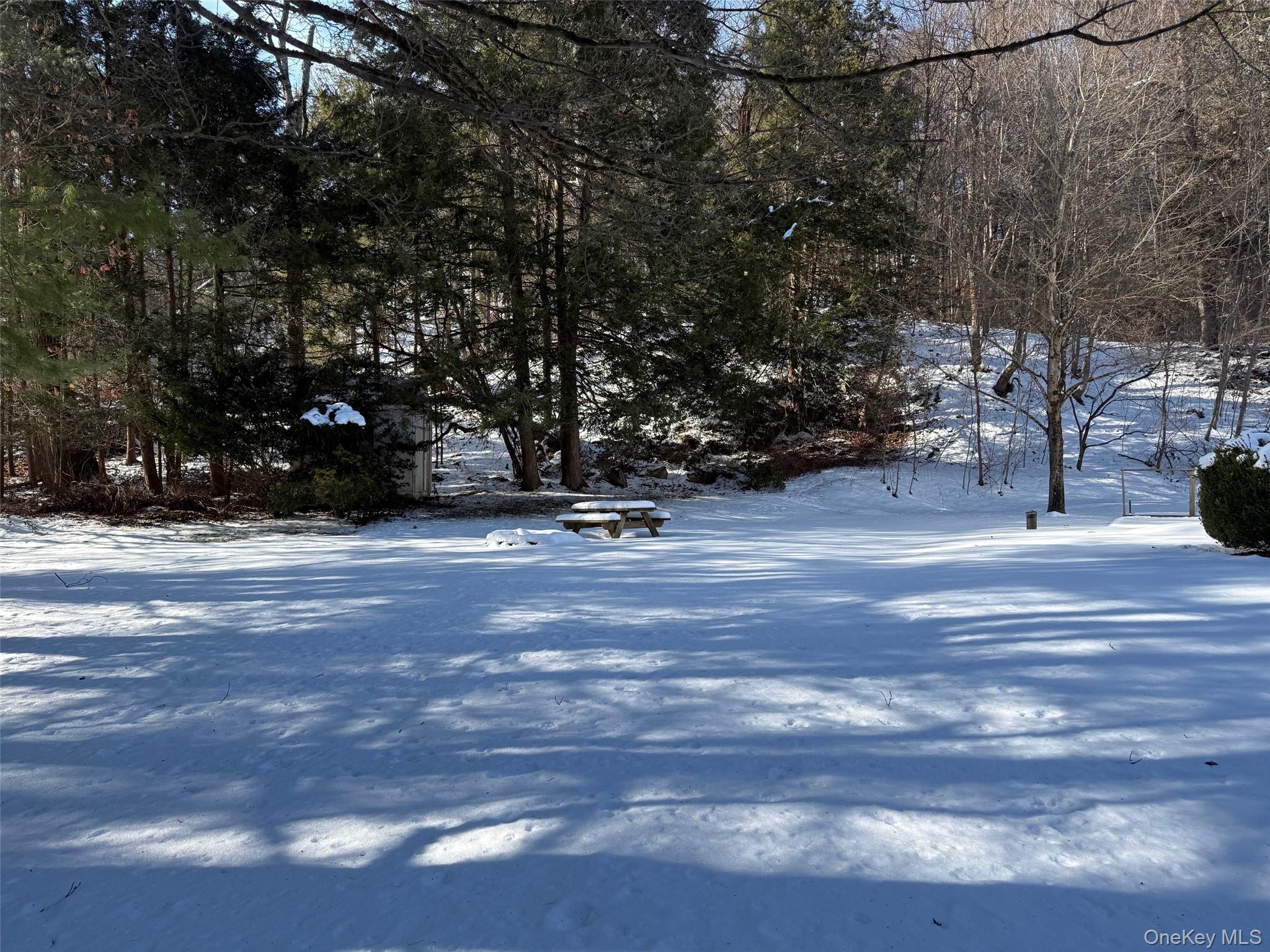 #5 photo, 3481 Route 22, Dover Plains , NY 12522