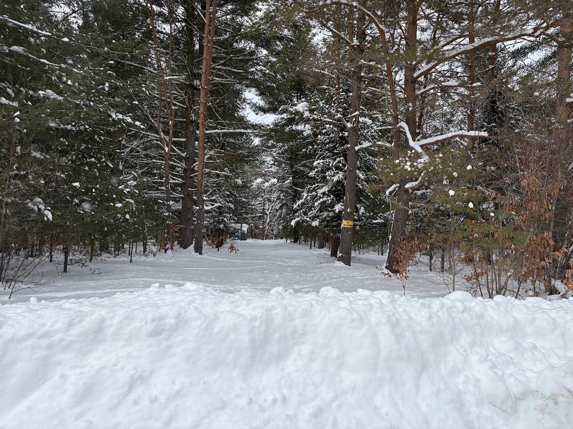 #6 photo, 0 Blue Waters Rd, Forestport , NY 13338