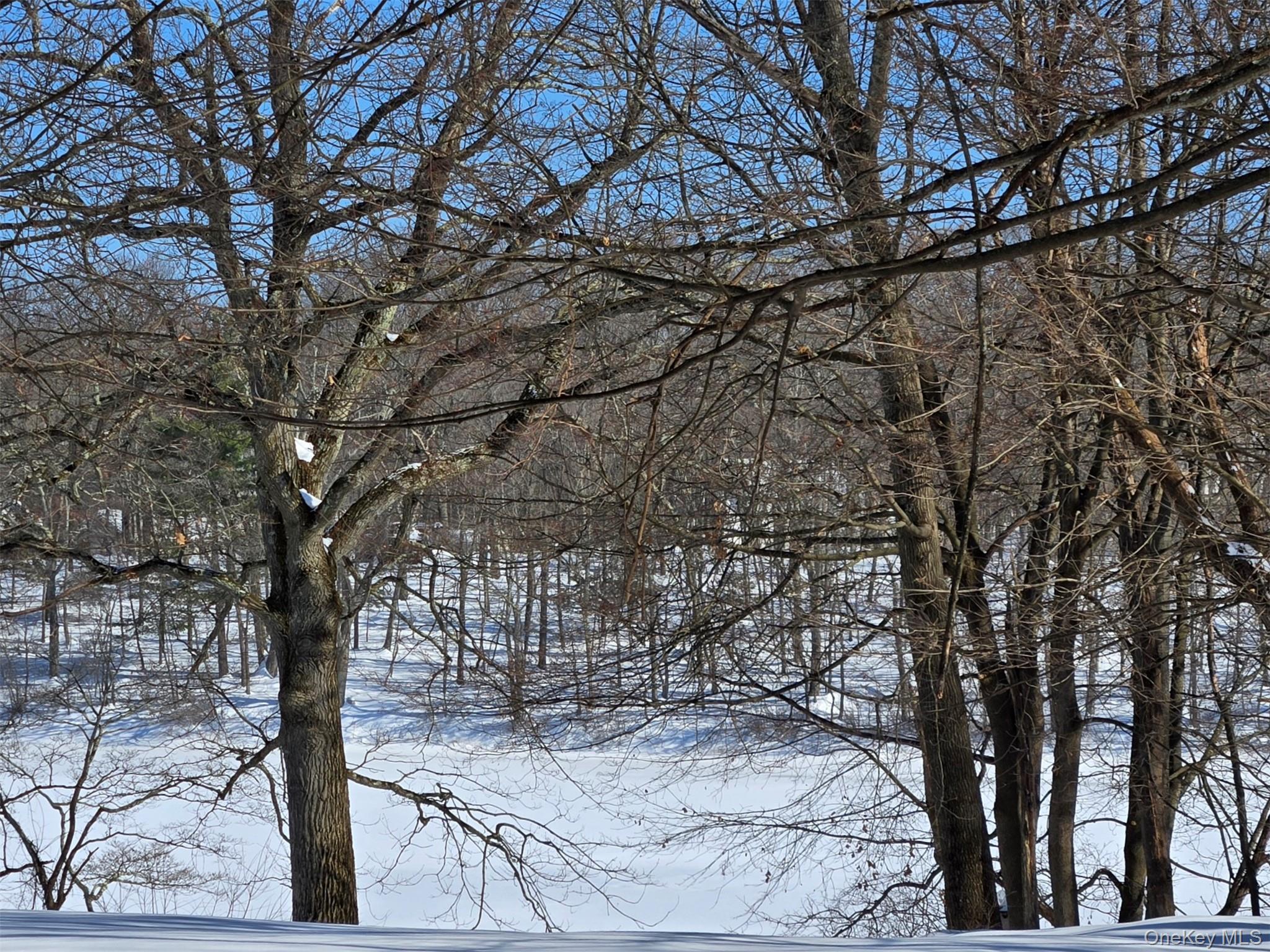 #3 photo, 101 Highland Road, Monroe , NY 10950