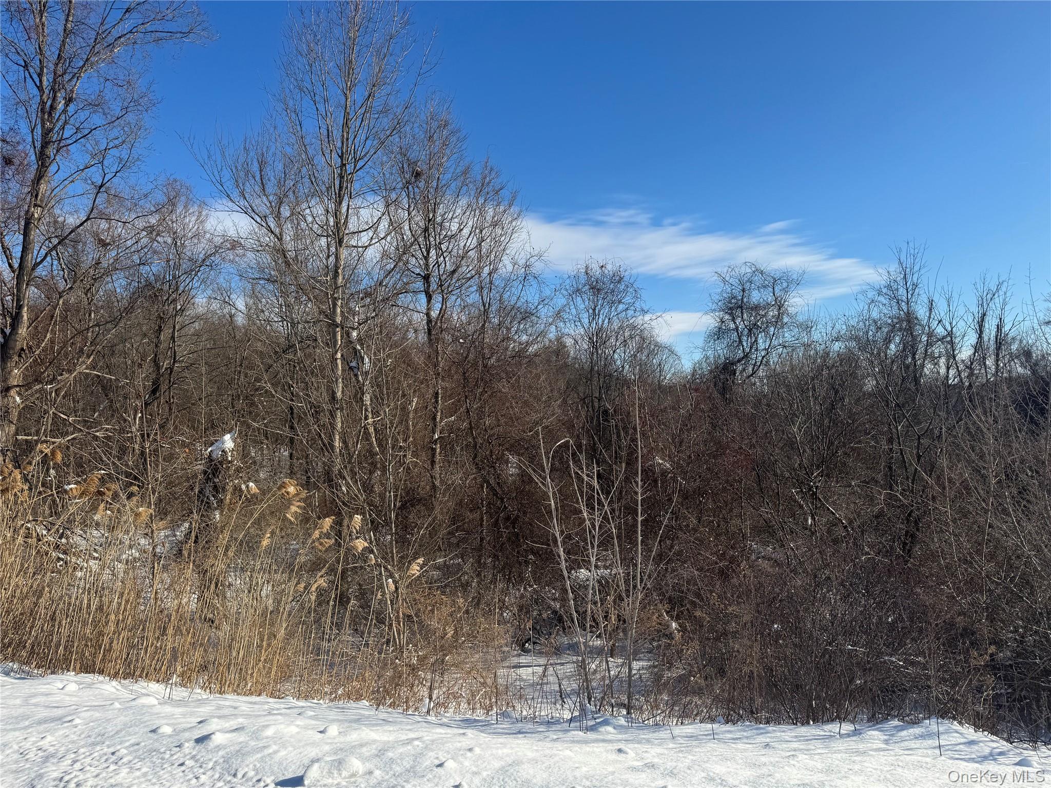 #10 photo, 2310 Route 22, Patterson , NY 12563