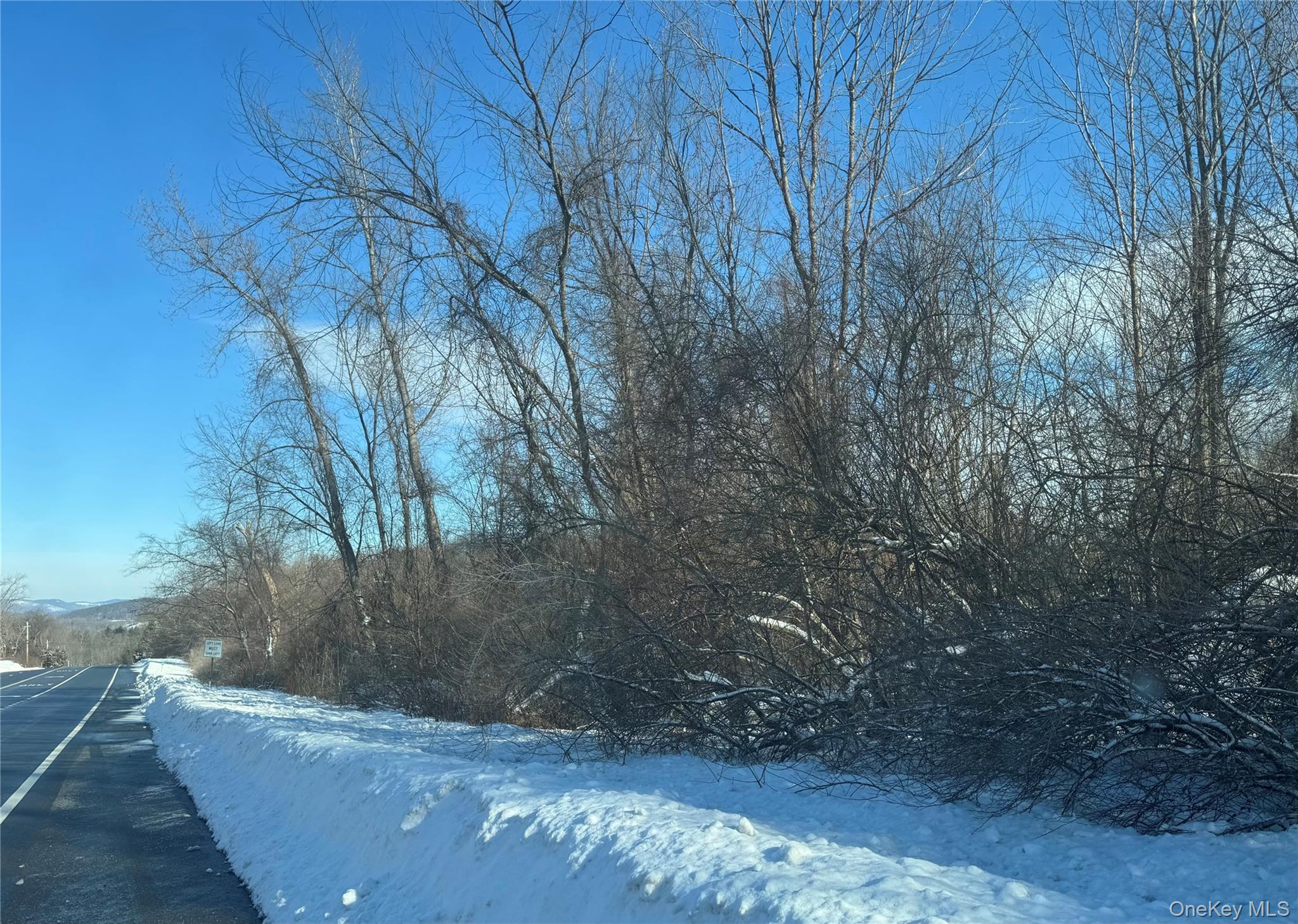 #9 photo, 2310 Route 22, Patterson , NY 12563