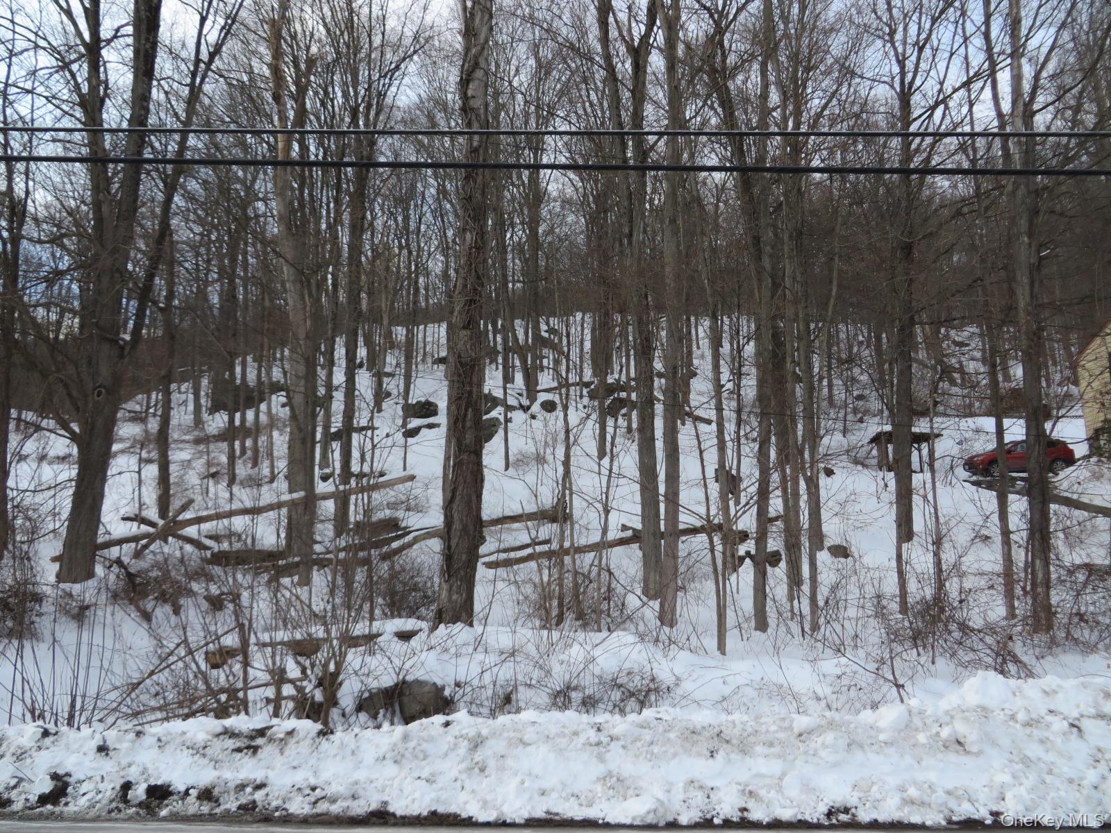 #5 photo, 477 Sprout Brook Road, Garrison , NY 10524