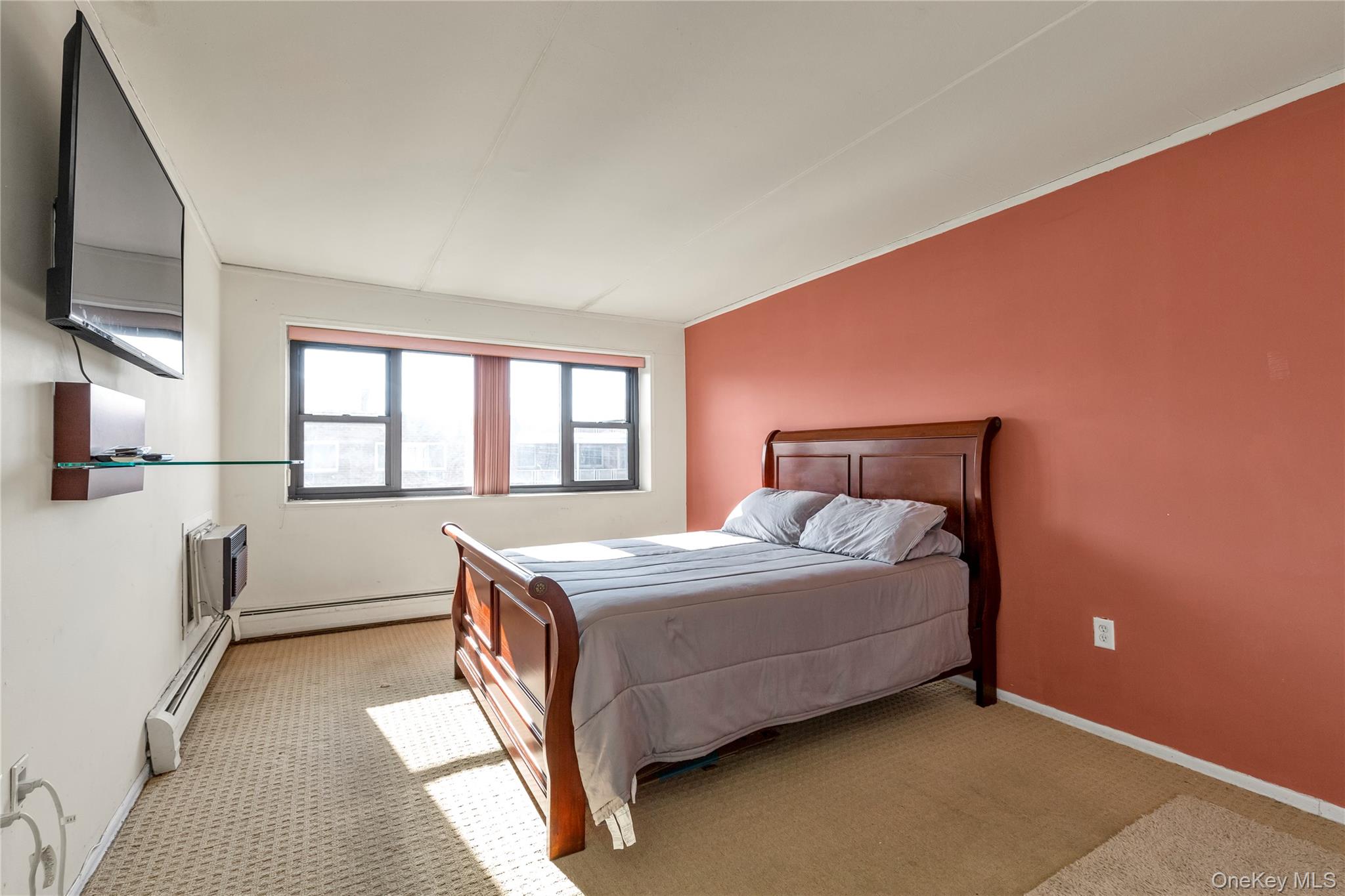 #14 photo, 100 Clinton Avenue, Нассау ‖ Mineola , NY 11501