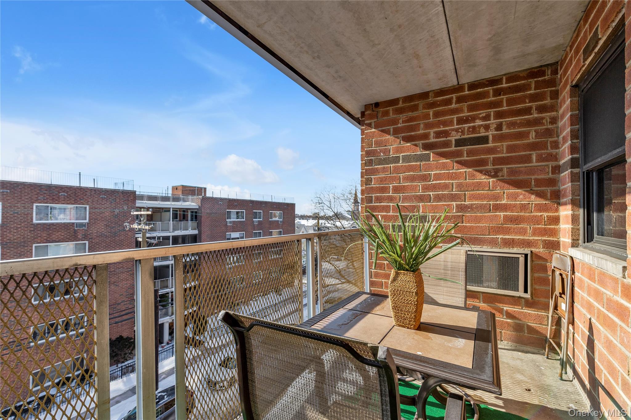 #17 photo, 100 Clinton Avenue, Нассау ‖ Mineola , NY 11501