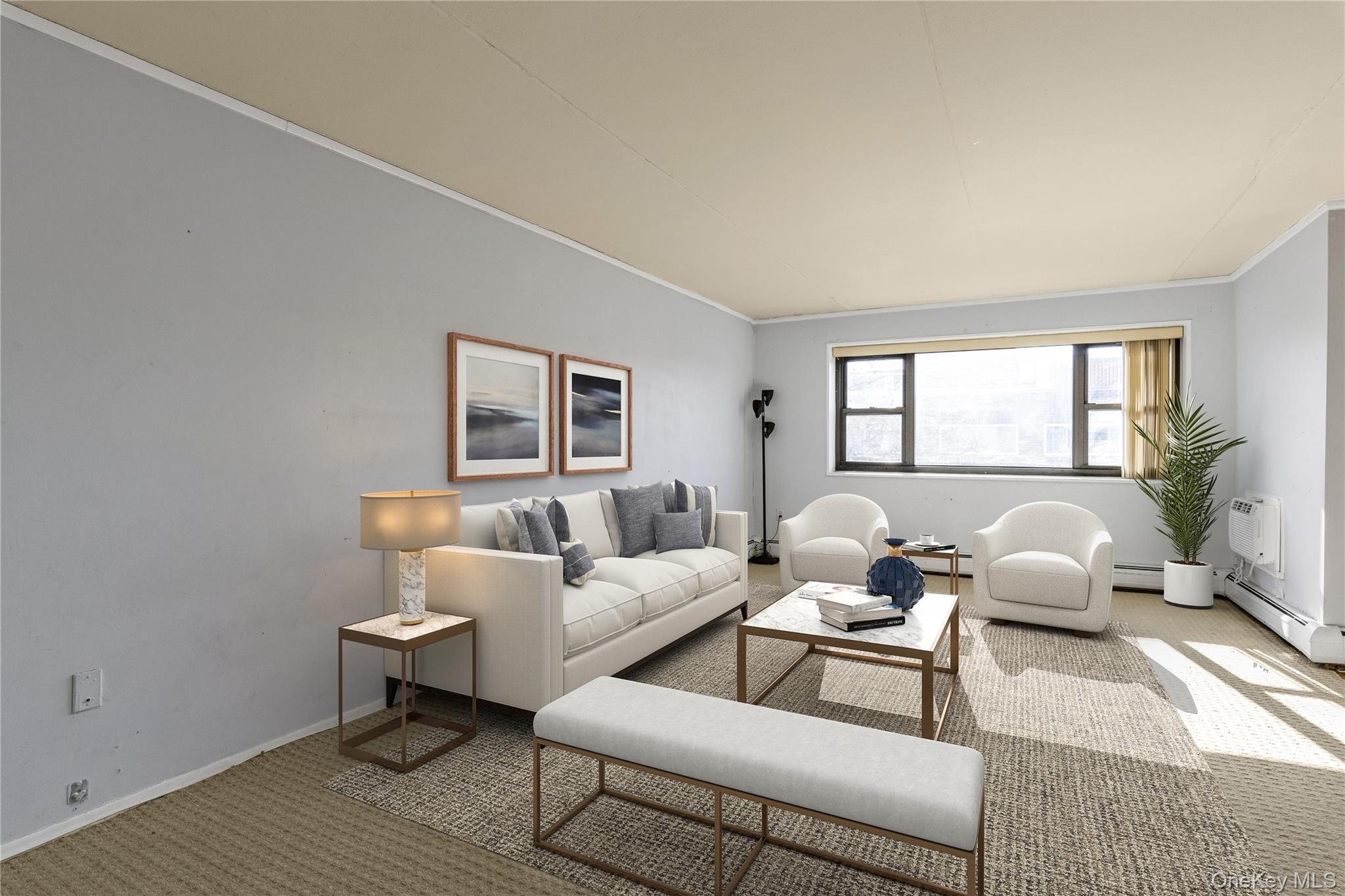 #7 photo, 100 Clinton Avenue, Нассау ‖ Mineola , NY 11501