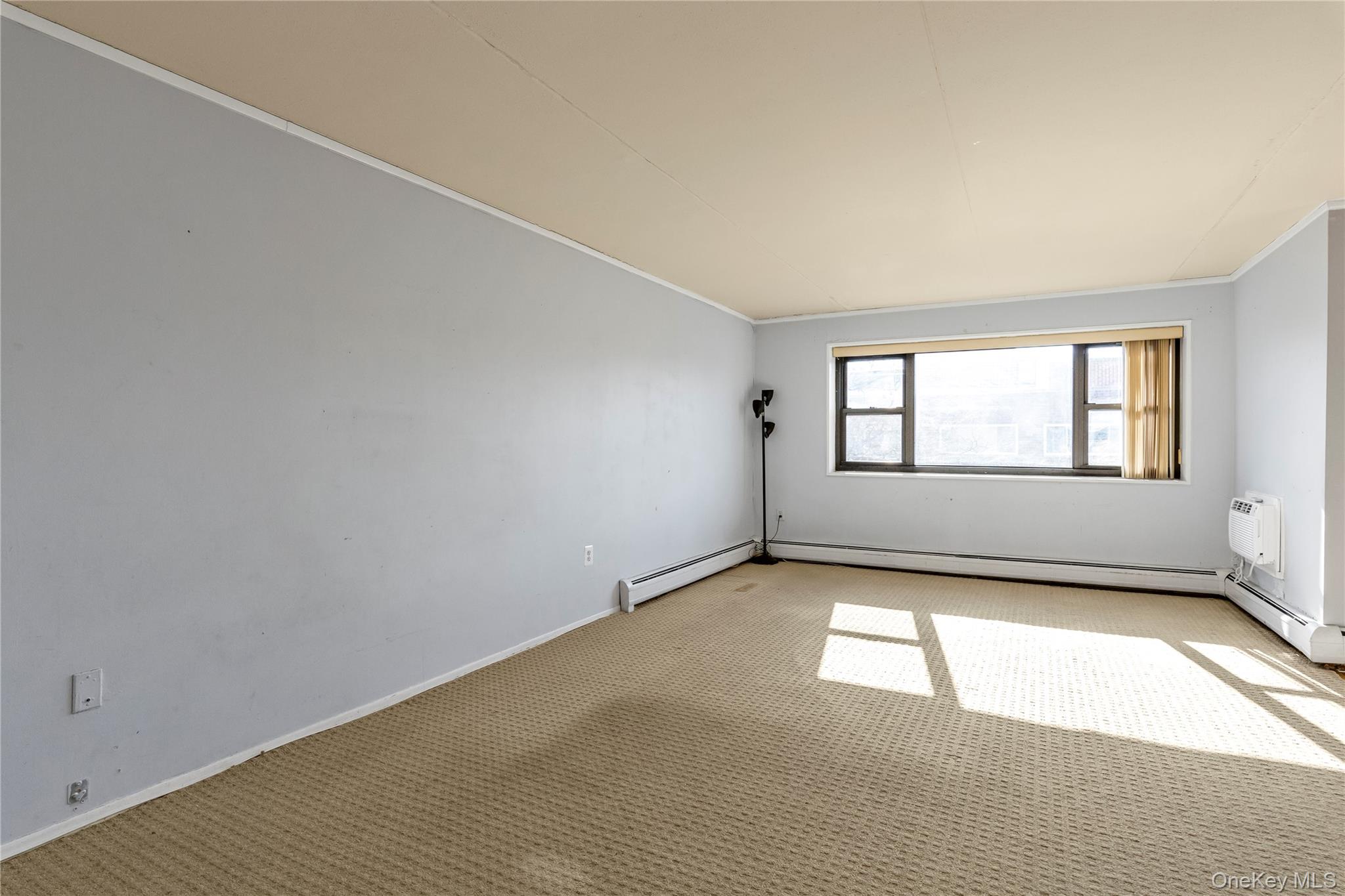 #8 photo, 100 Clinton Avenue, Нассау ‖ Mineola , NY 11501