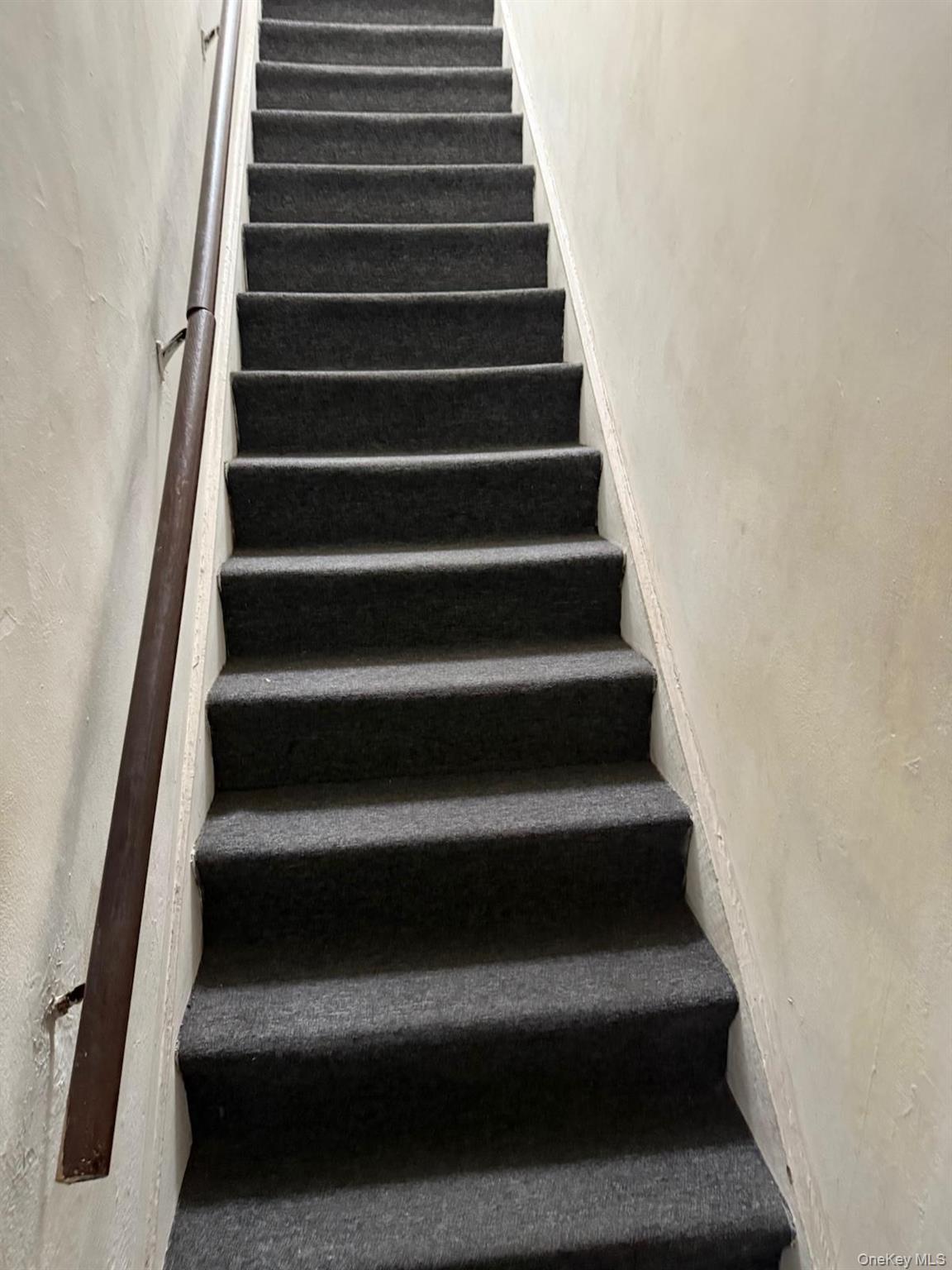 #8 photo, 1972 Ellis Avenue, Bronx , NY 10472