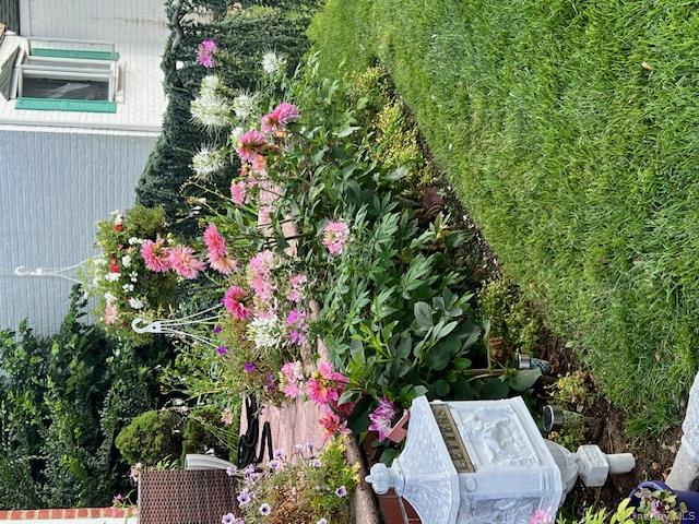 #3 photo, 208 Emily Avenue, Elmont , NY 11003