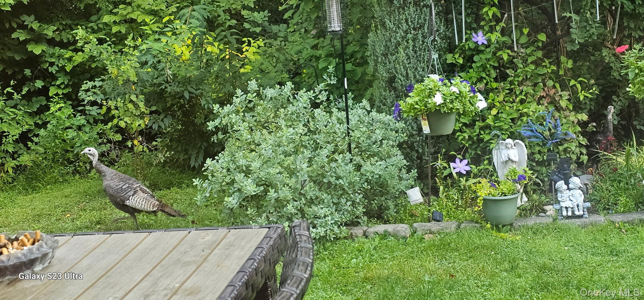 #17 photo, 53 Jefferson Oval, 纽约州 Yorktown Heights , NY 10598