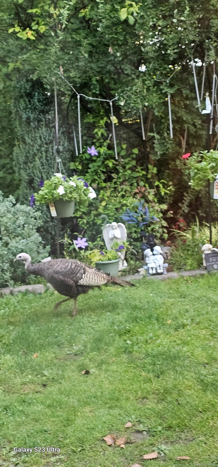 #20 photo, 53 Jefferson Oval, 纽约州 Yorktown Heights , NY 10598