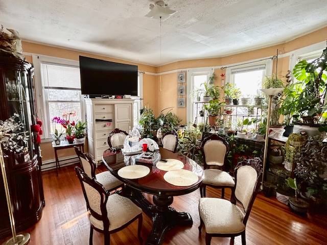 #26 photo, 19 1st Street, Staten Island , NY 10306