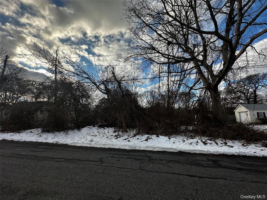 #1 photo, Forest Road, 東長島 Mastic Beach , NY 11951