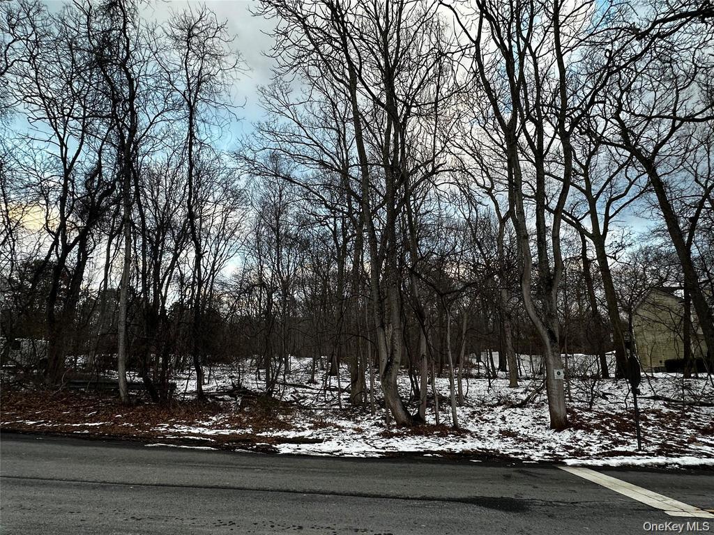 #1 photo, W Bartlett Road, 東長島 Middle Island , NY 11953