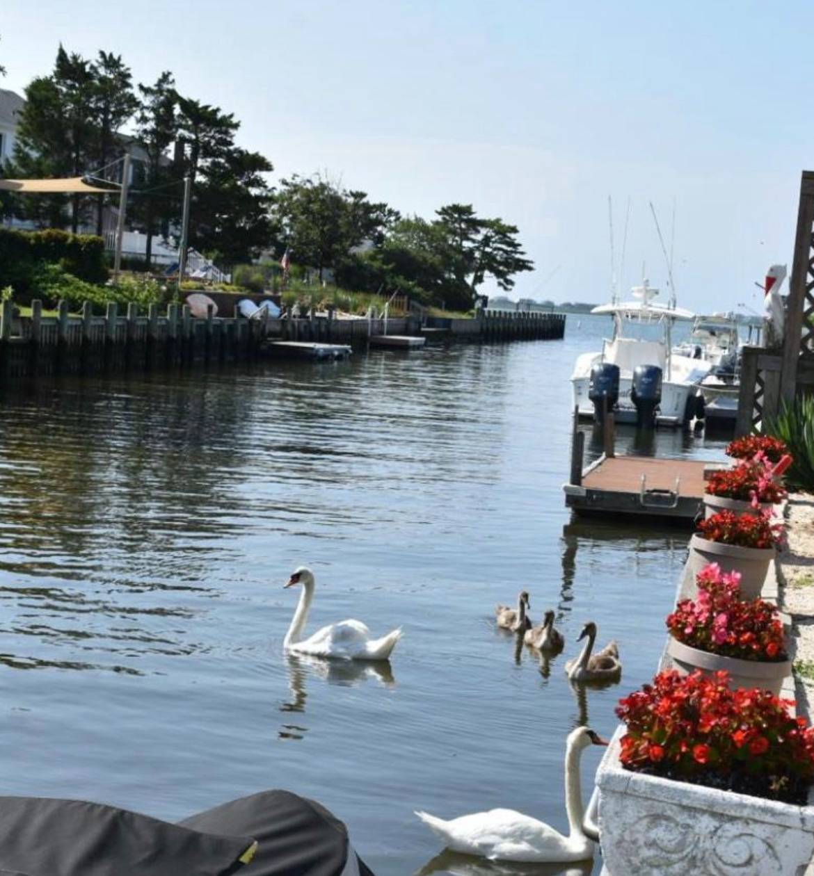 #1 photo, 25 Dolphin, East Quogue , NY 11942