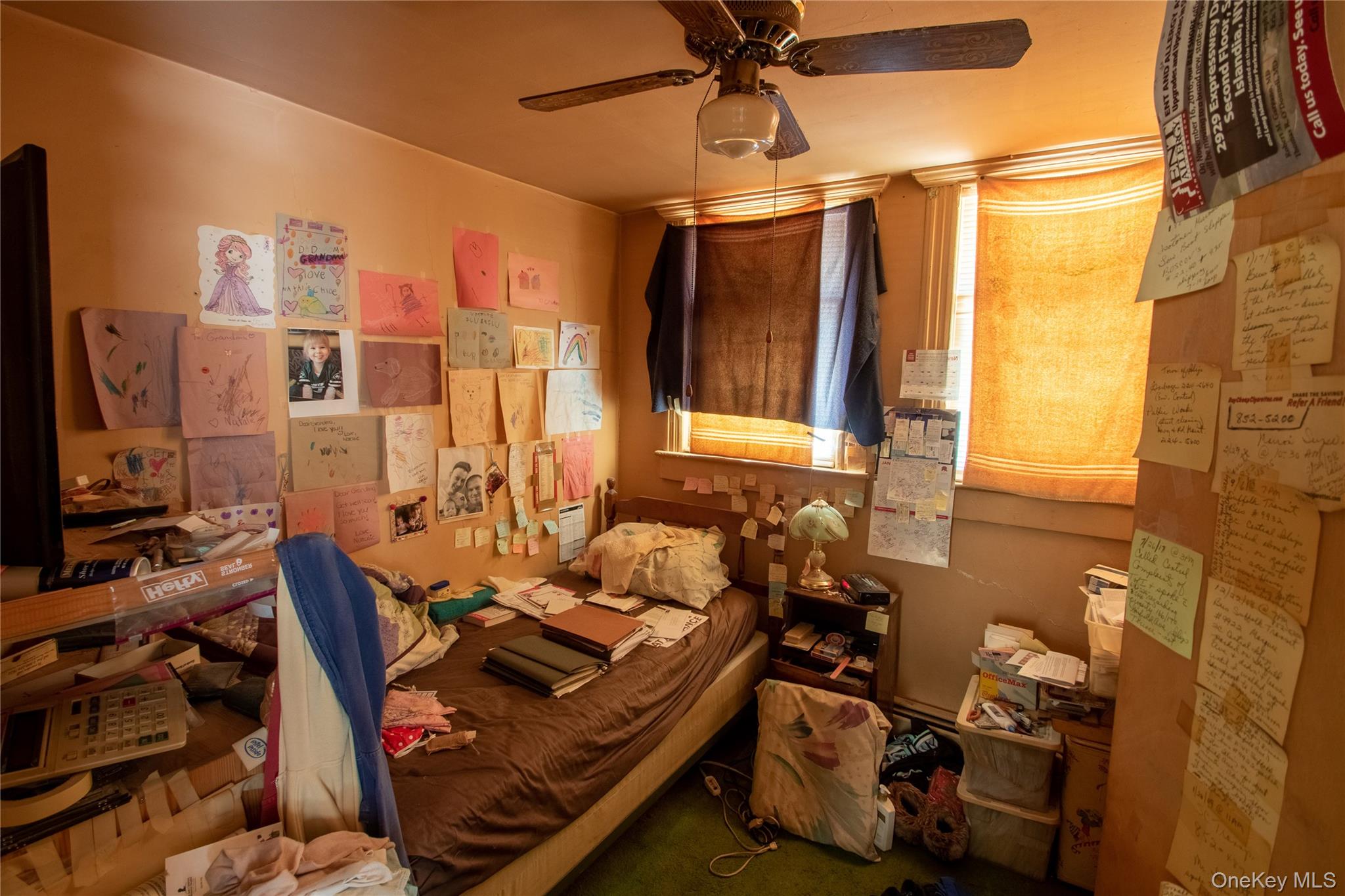 #15 photo, 144 Carleton Avenue, 東長島 Islip Terrace , NY 11752