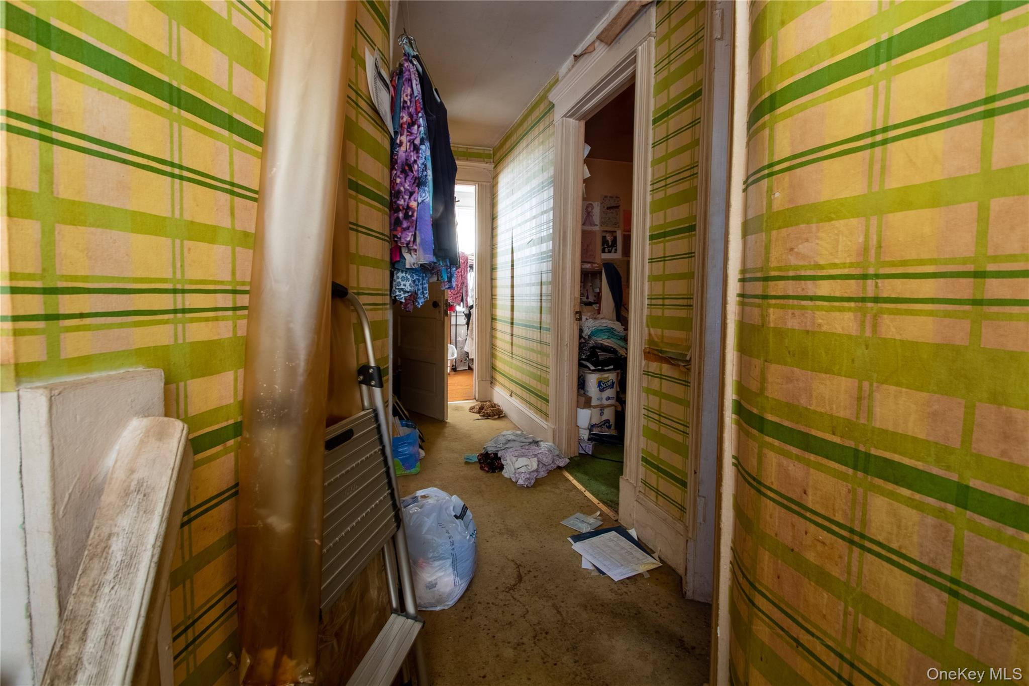 #7 photo, 144 Carleton Avenue, 東長島 Islip Terrace , NY 11752