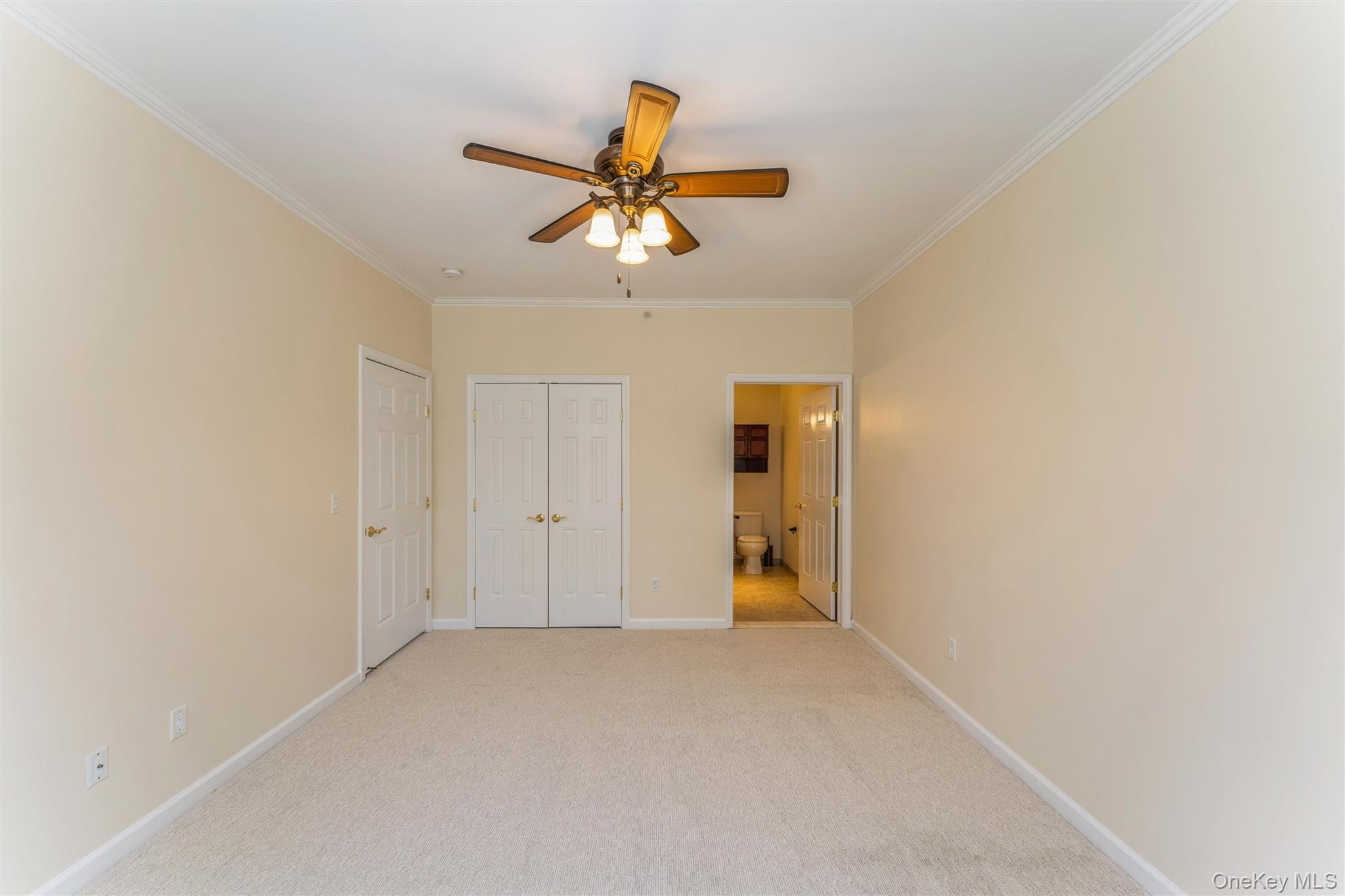 #13 photo, 169 Spring Drive, 長島 East Meadow , NY 11554