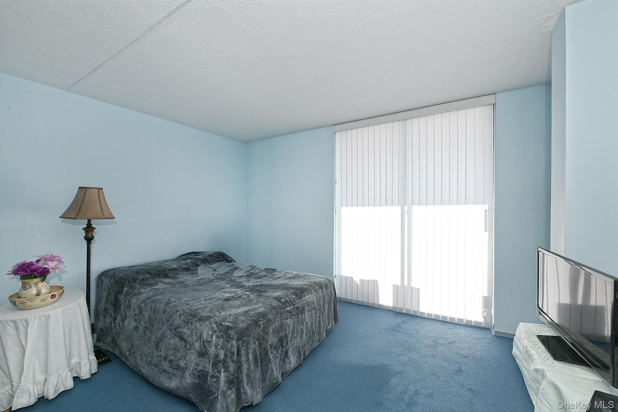 #10 photo, 800 Willis Avenue, Albertson , NY 11507