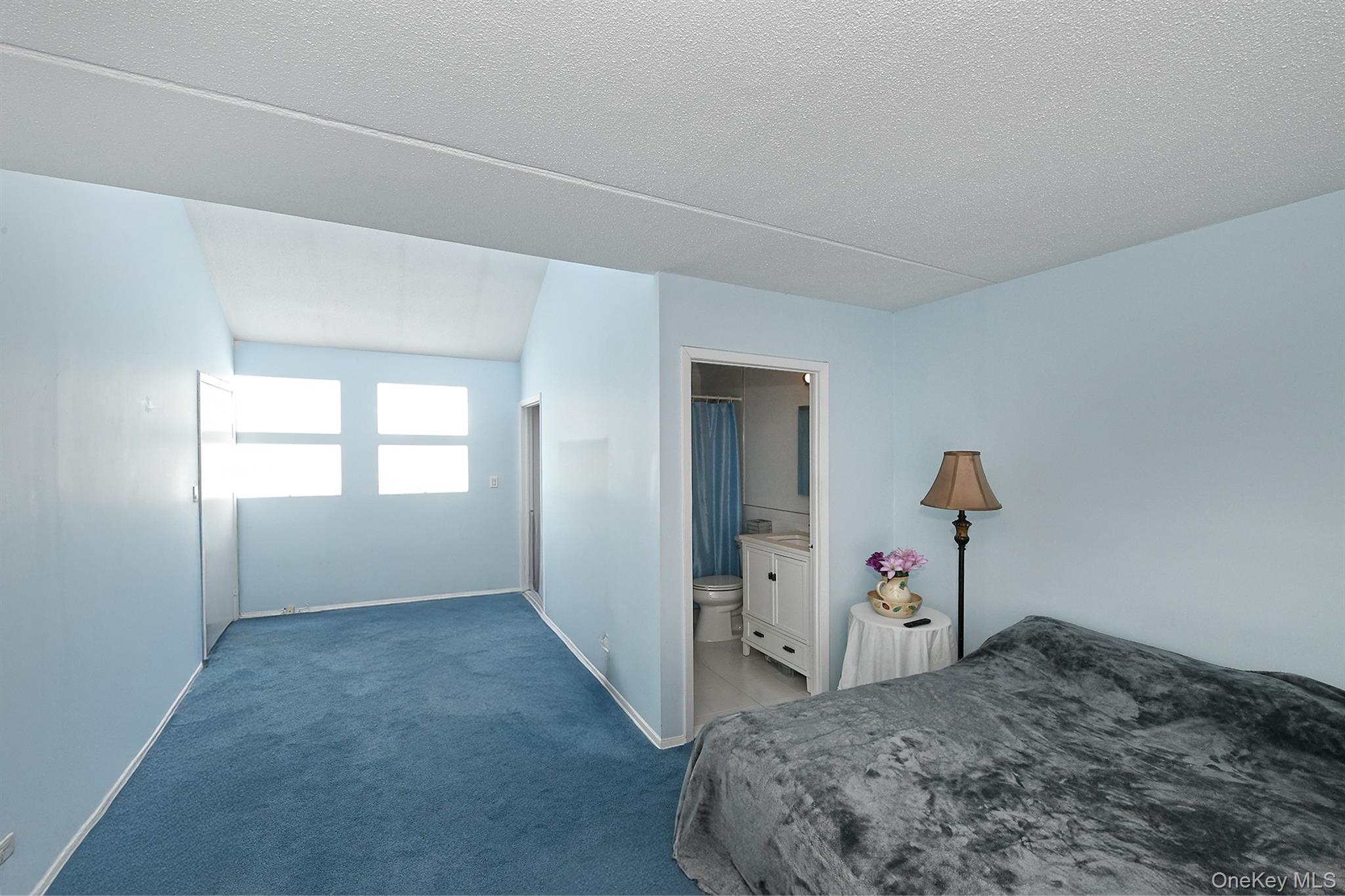 #11 photo, 800 Willis Avenue, Albertson , NY 11507