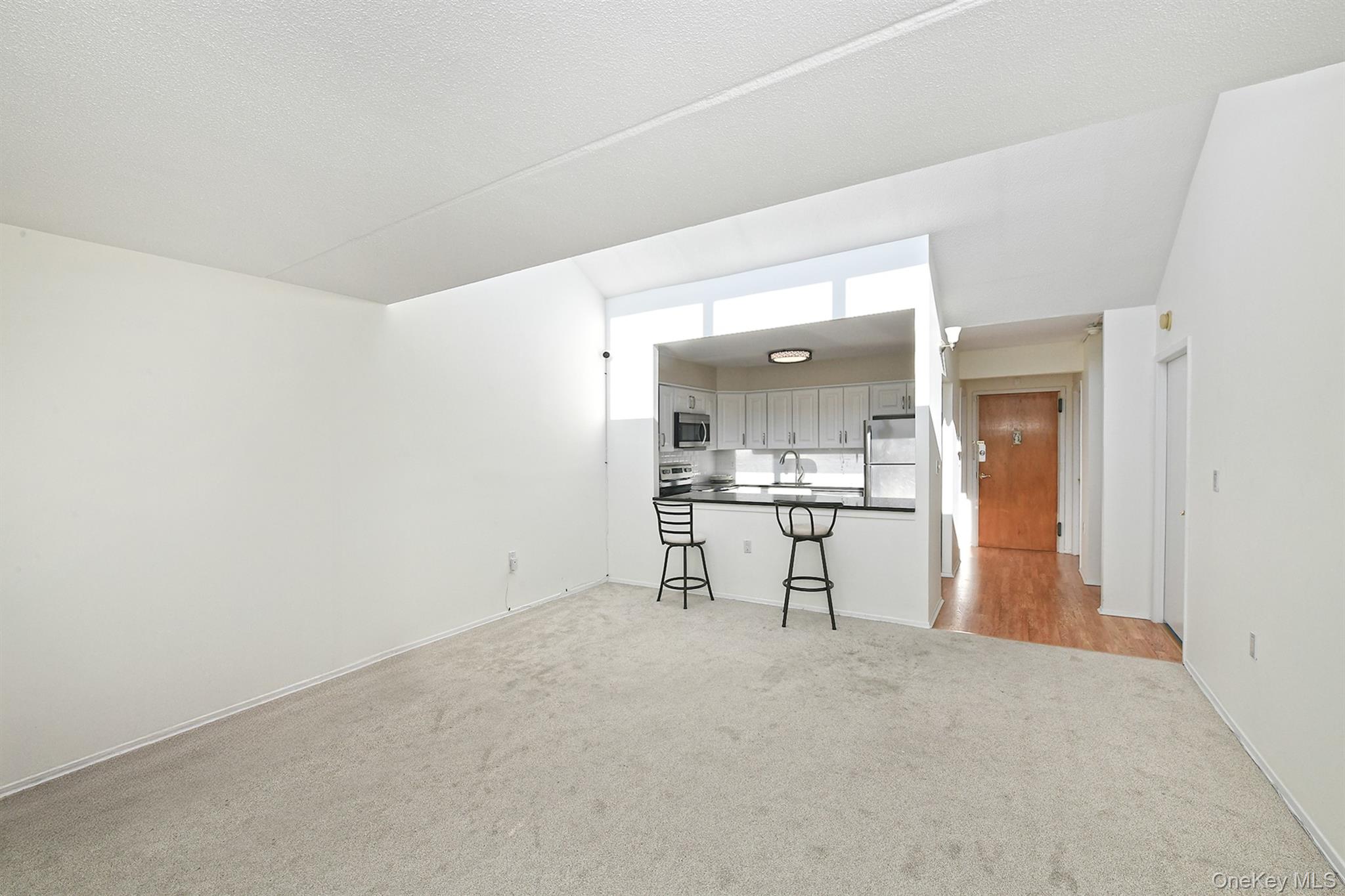 #8 photo, 800 Willis Avenue, Albertson , NY 11507