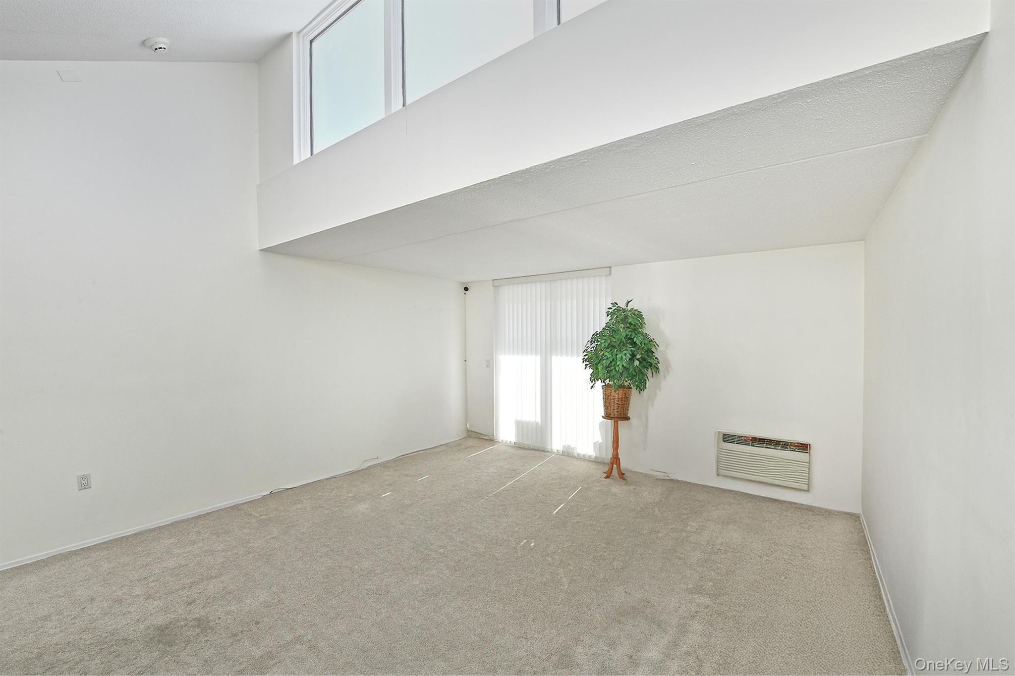 #9 photo, 800 Willis Avenue, Albertson , NY 11507