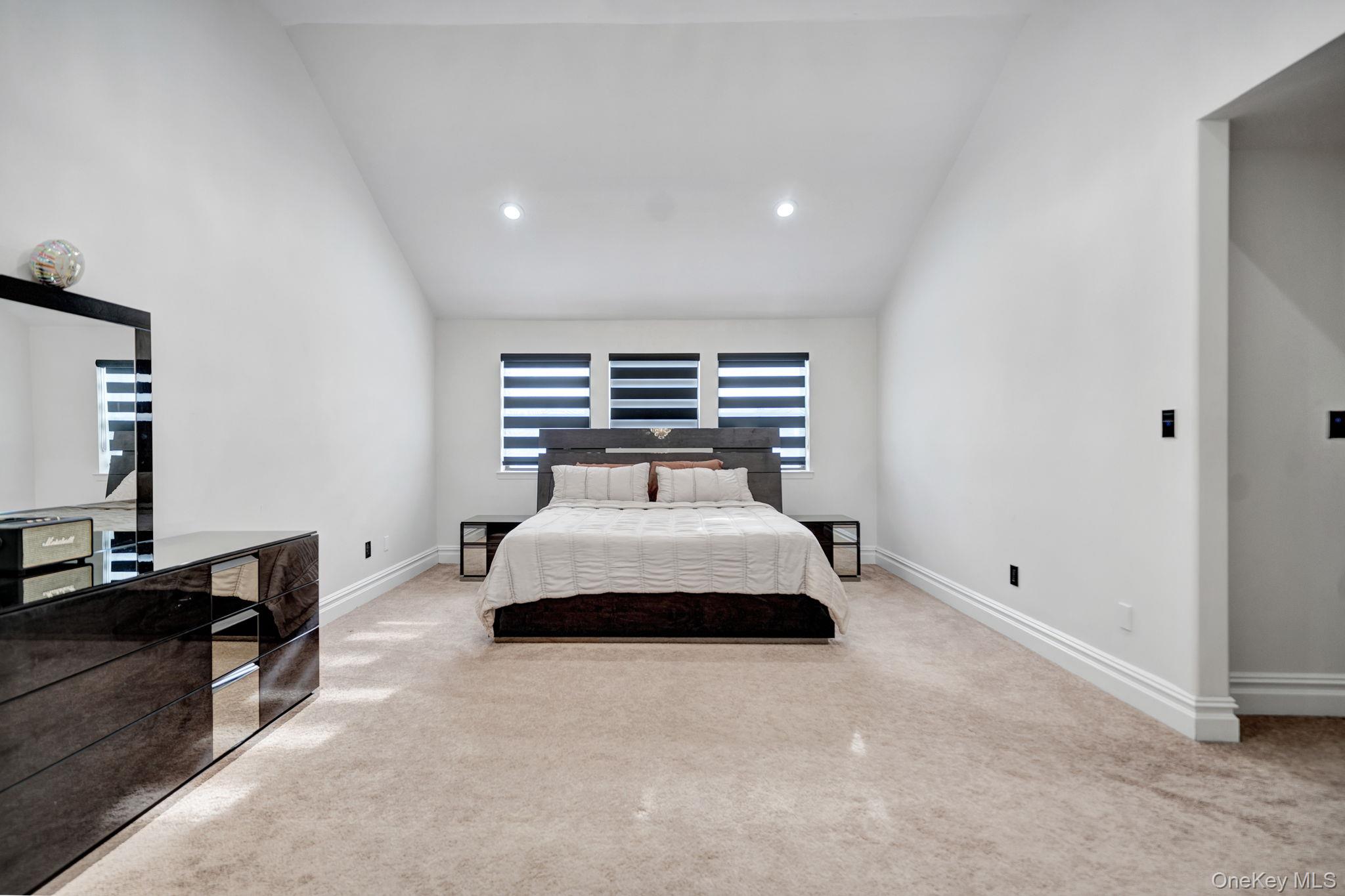 #20 photo, 219 Carnation Drive, 長島 Farmingdale , NY 11735