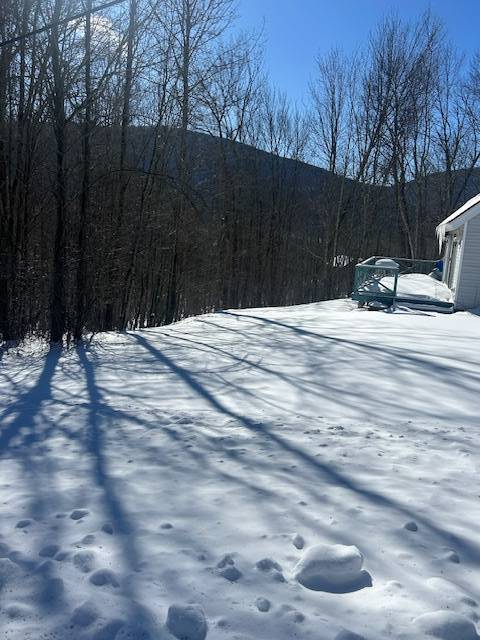 #10 photo, 159 Cloos Rd., South Jewett , NY 12444