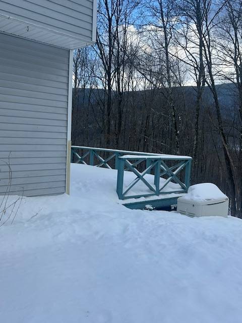 #11 photo, 159 Cloos Rd., South Jewett , NY 12444