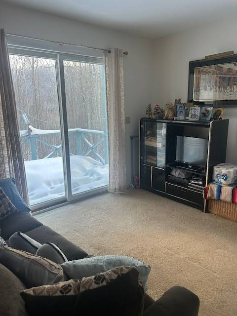 #22 photo, 159 Cloos Rd., South Jewett , NY 12444